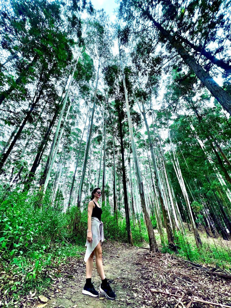 Aurora Tours and Travels