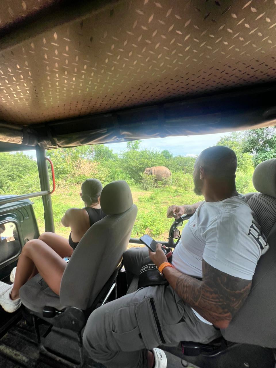 Aurora Tours and Travels