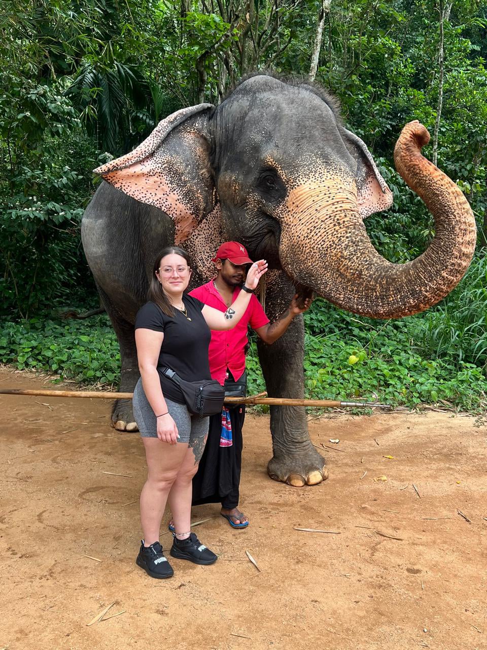 Aurora Tours and Travels