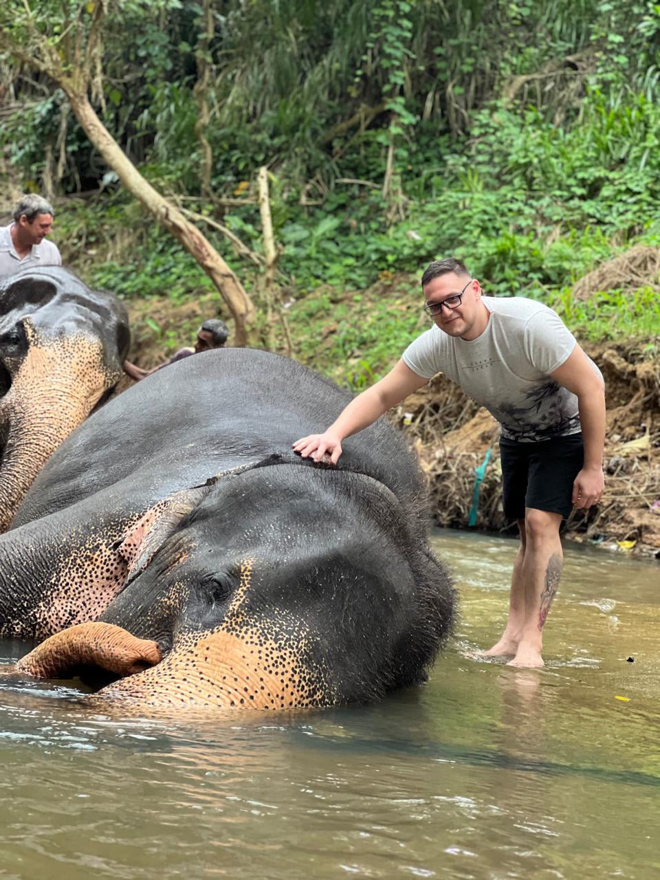 Aurora Tours and Travels