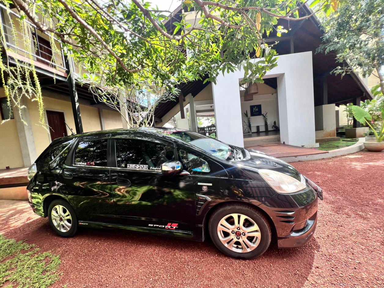 Aurora Tours and Travels